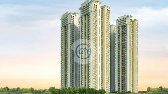 Dev Sai Sports Home - Developer Background